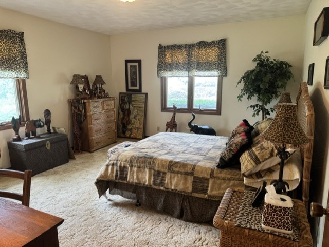 Gallery Image 35