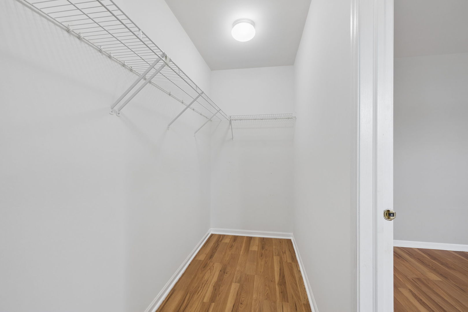 Gallery Image 20