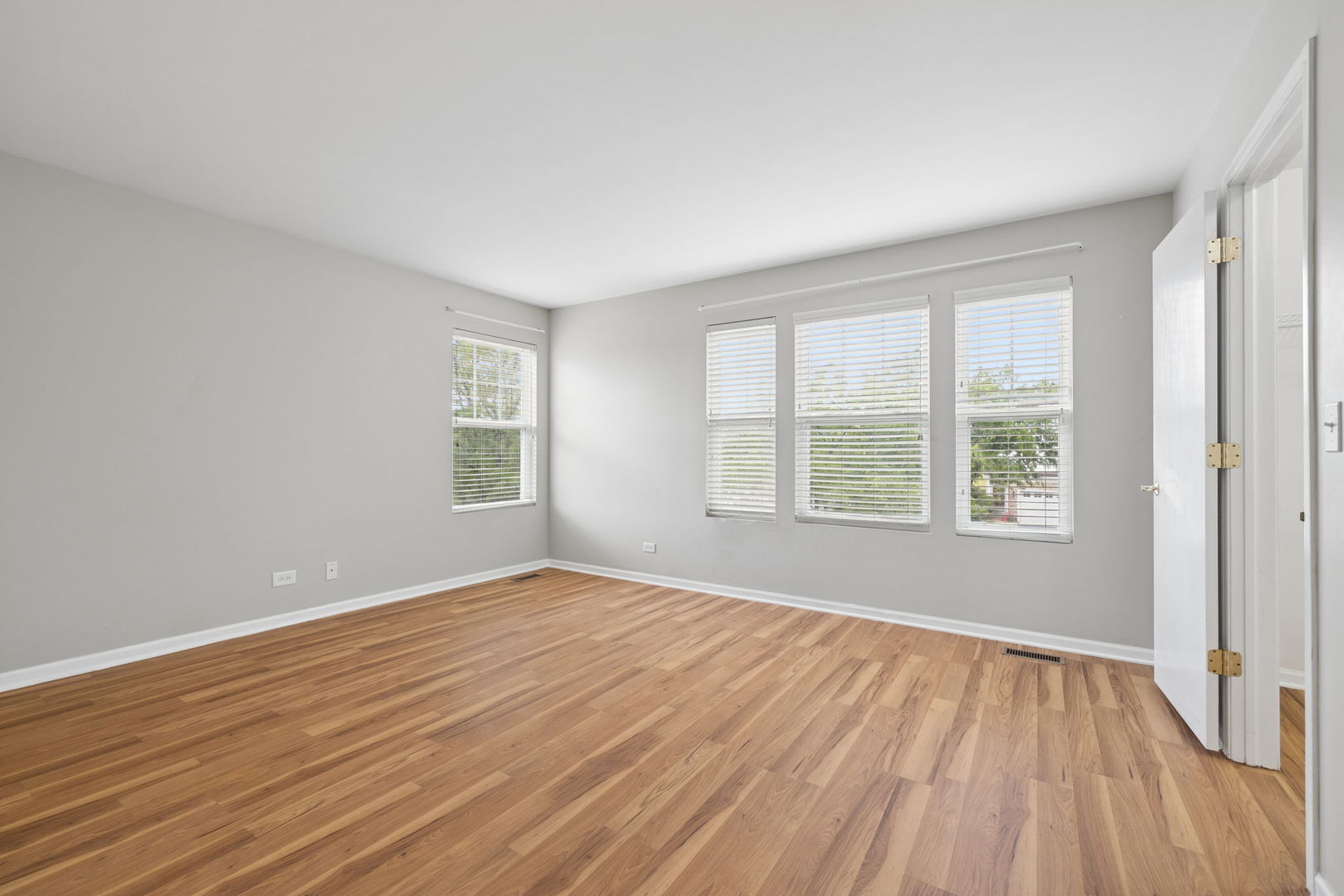 Gallery Image 19