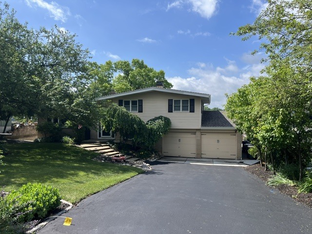 Gallery Image 20