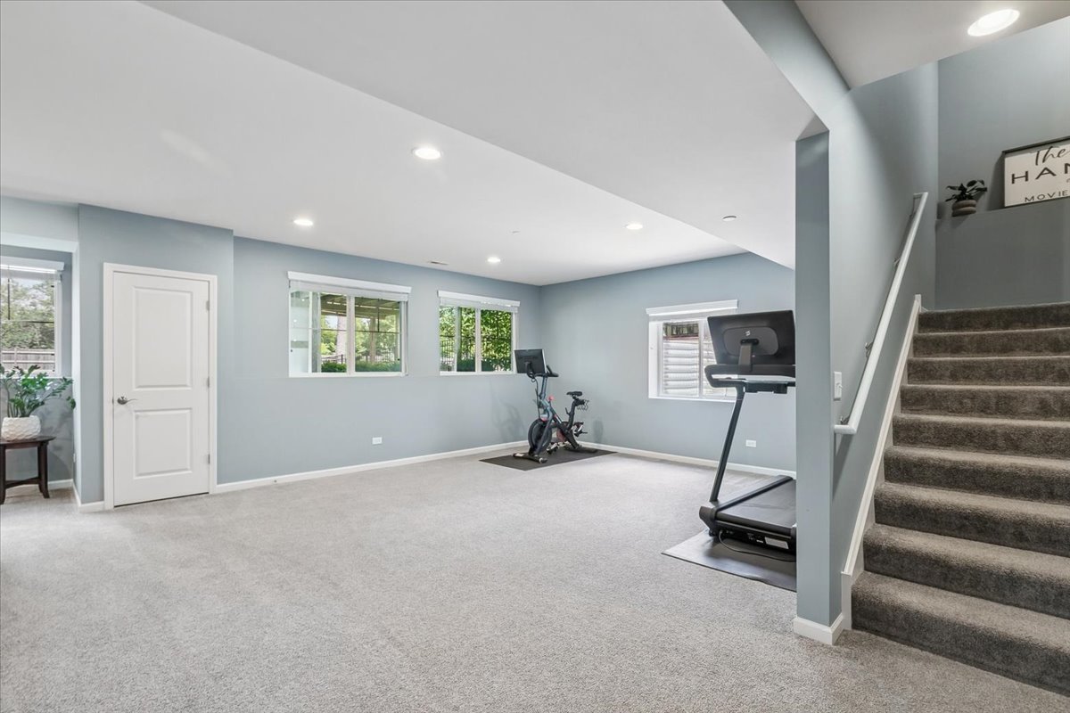 Gallery Image 15