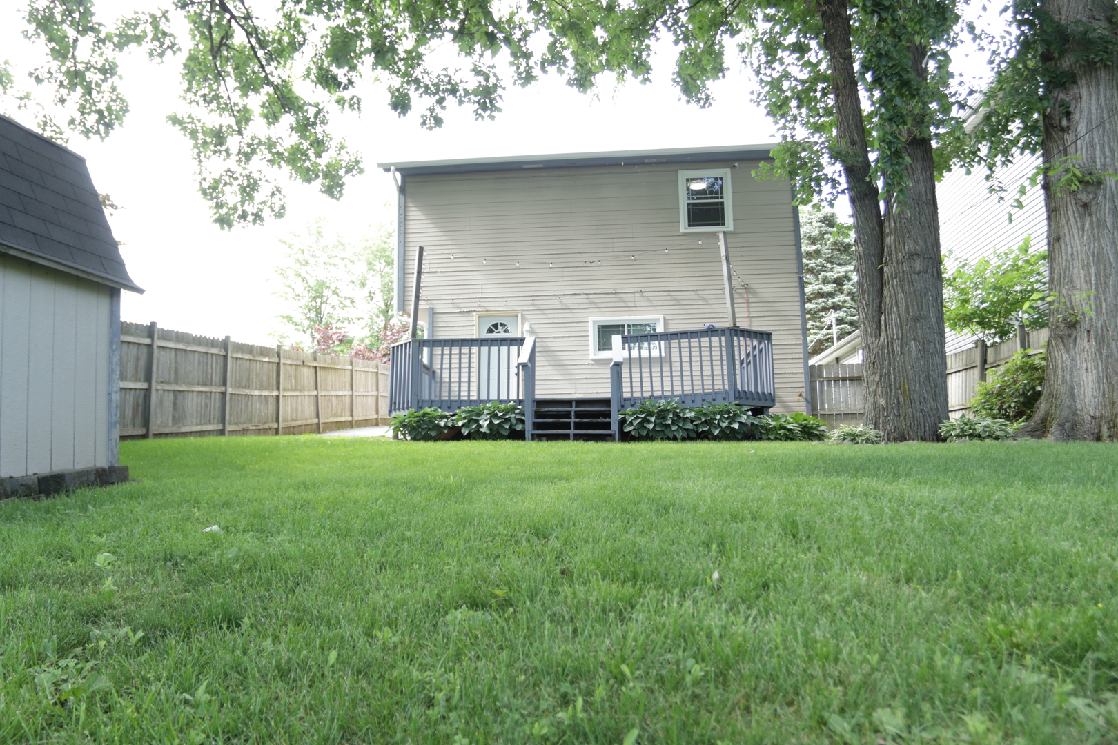 Gallery Image 36