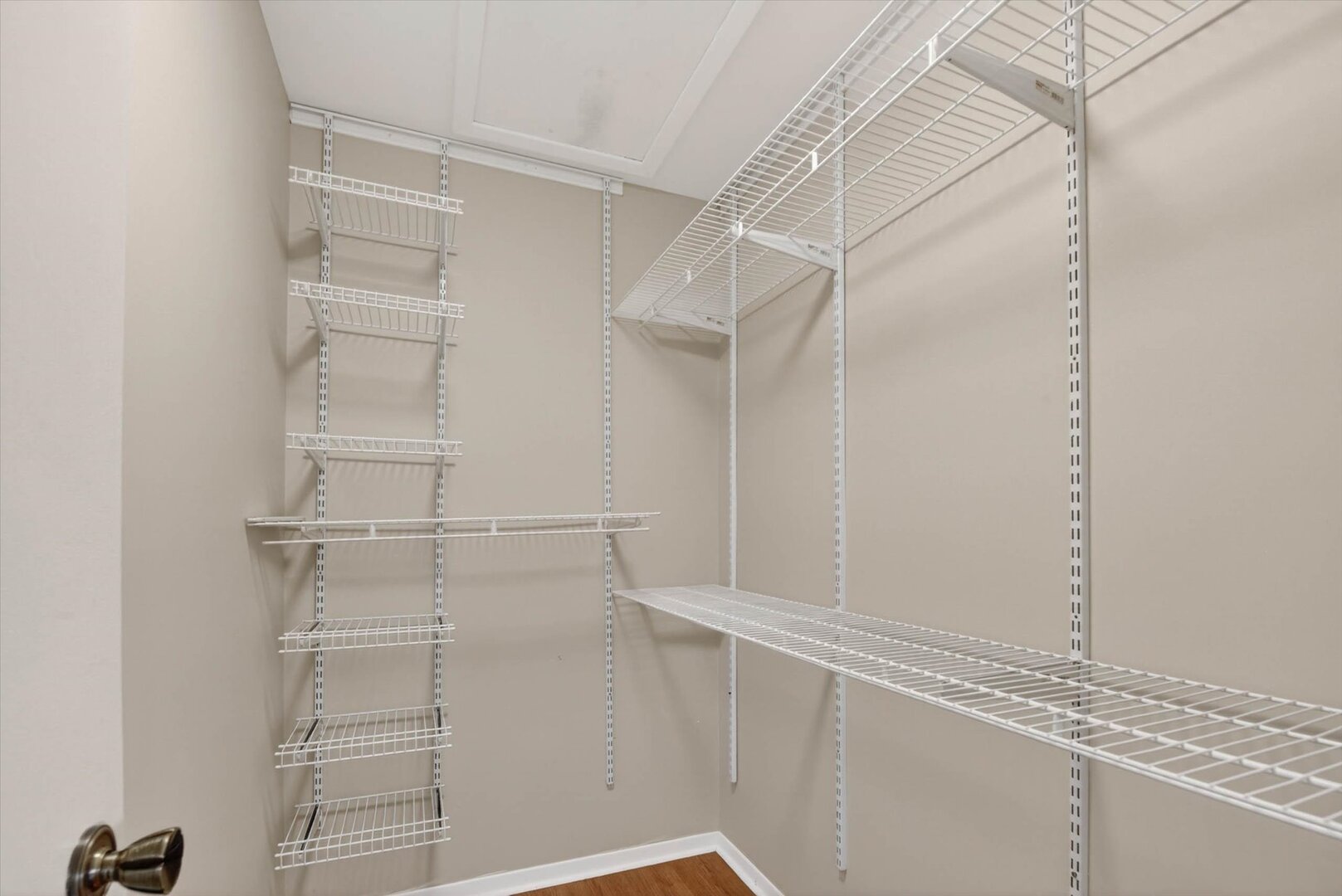 Gallery Image 19
