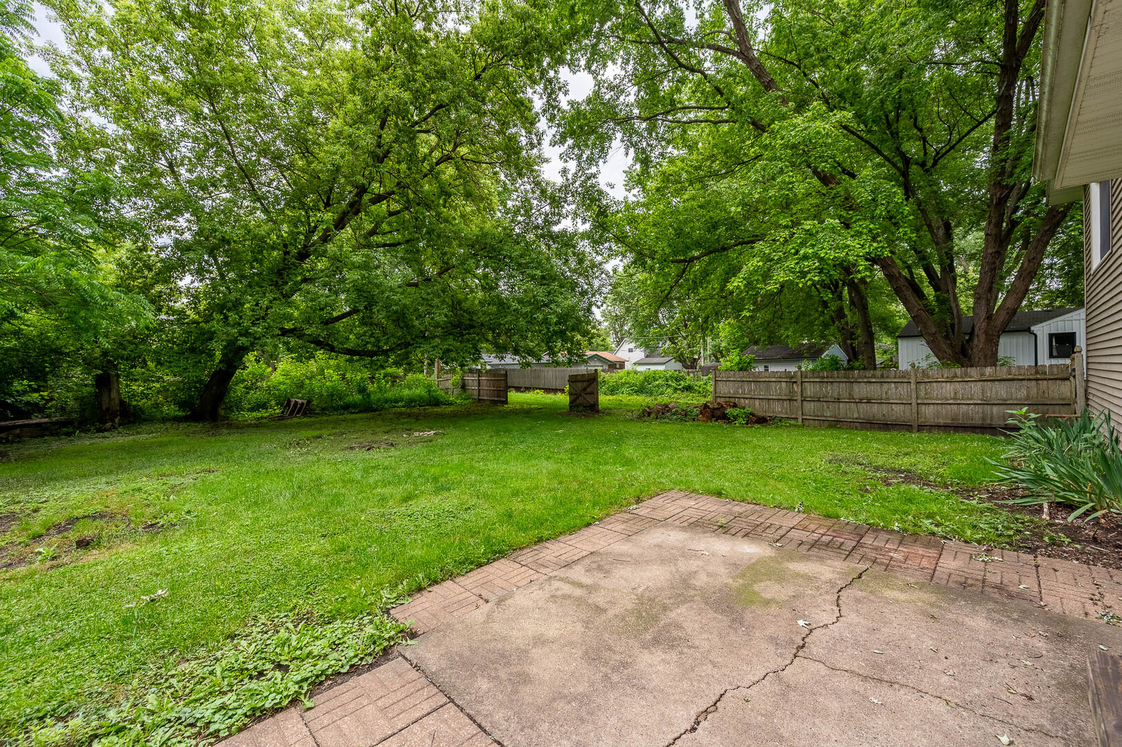Gallery Image 15