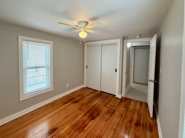 Gallery Image 16