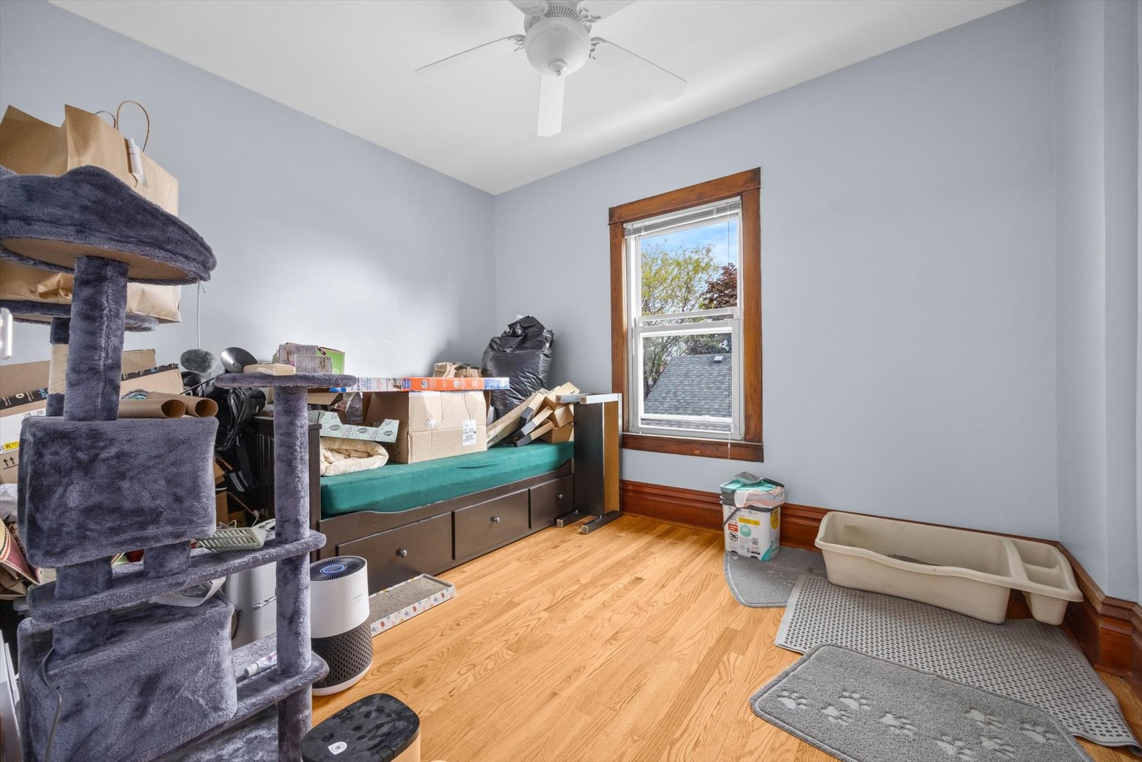 Gallery Image 11