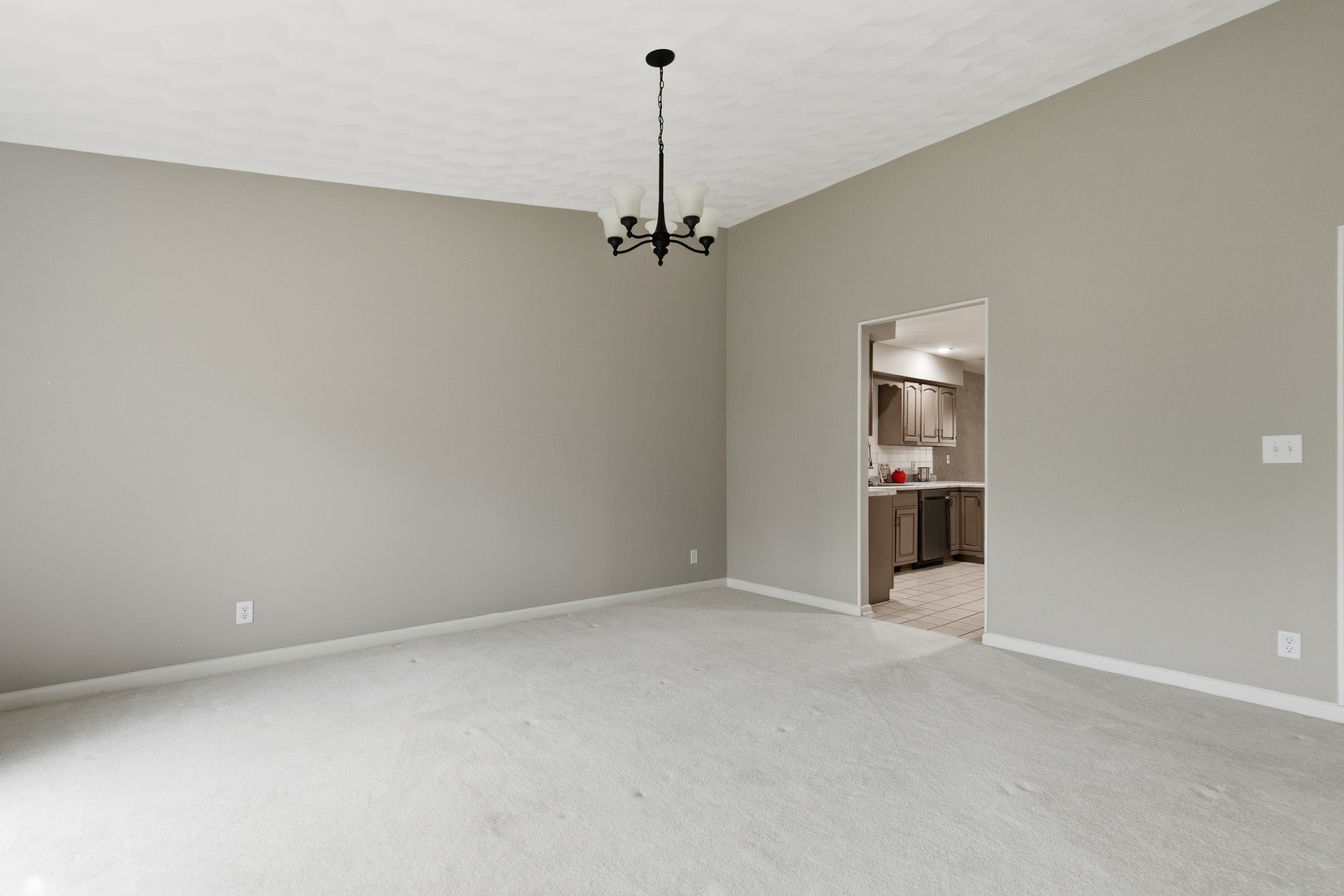 Gallery Image 19