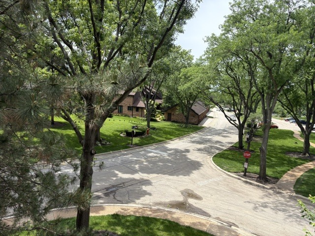 Gallery Image 39