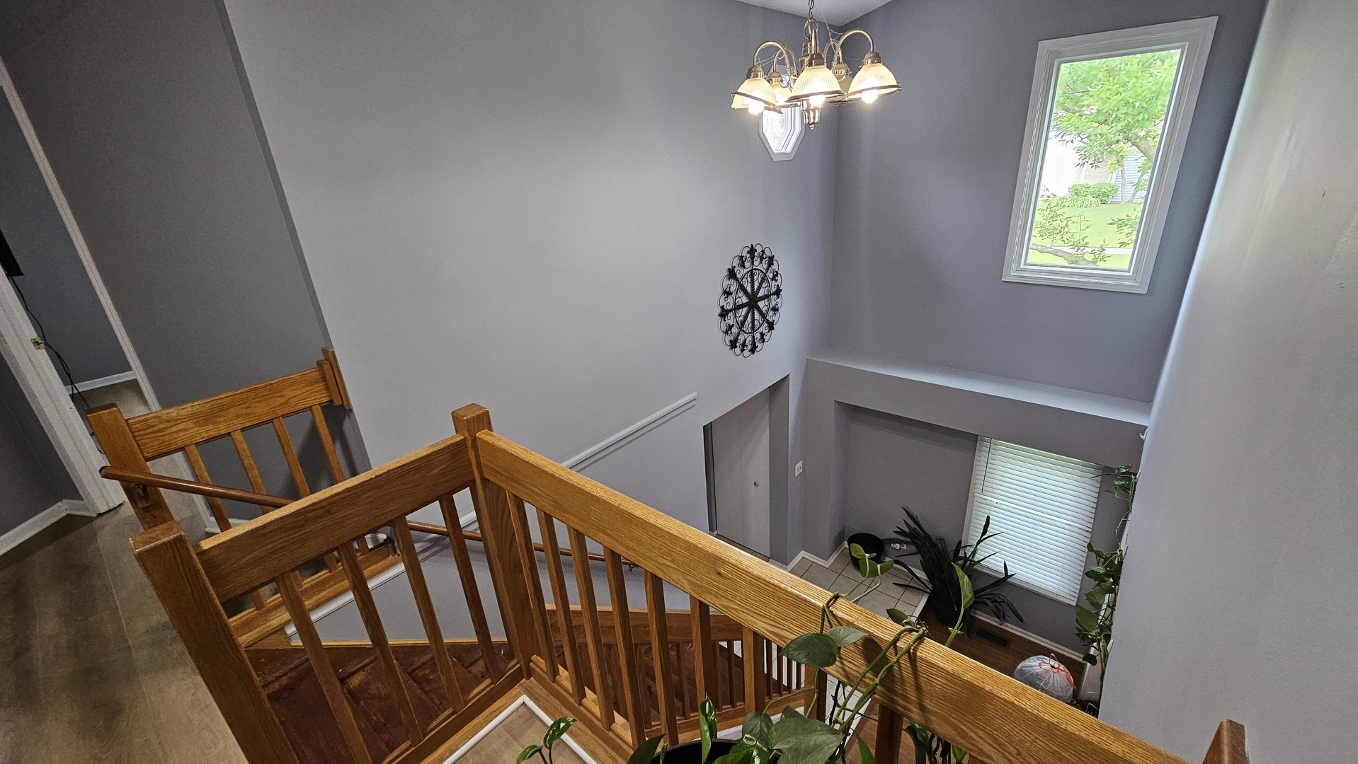 Gallery Image 13