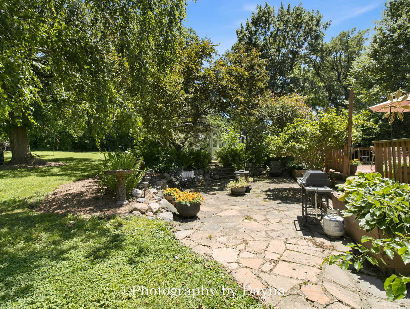 Gallery Image 48