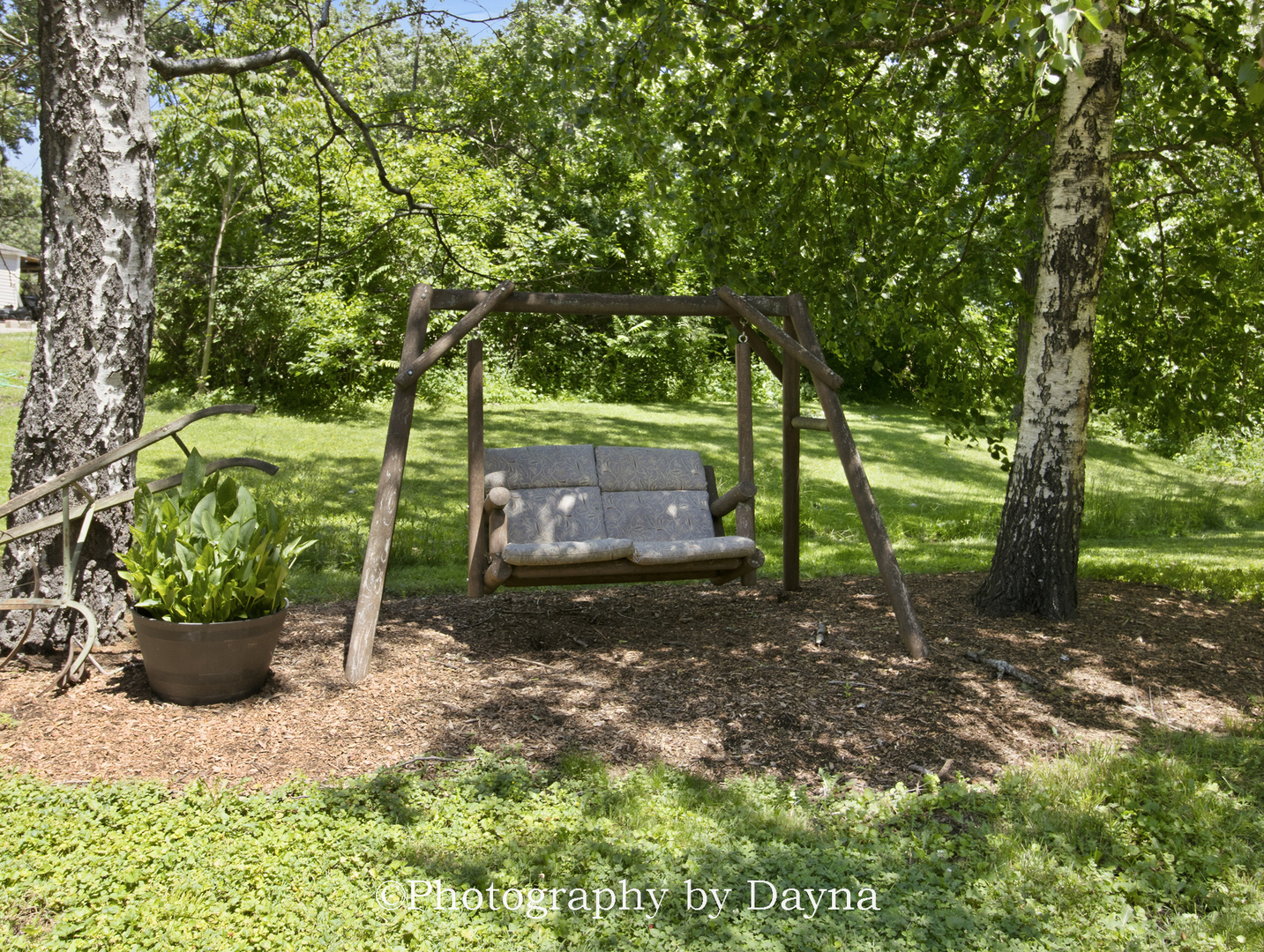Gallery Image 46