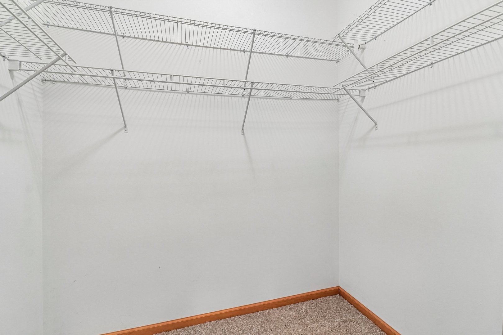 Gallery Image 19