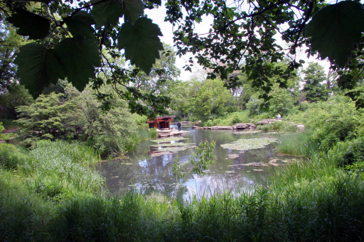 Gallery Image 19