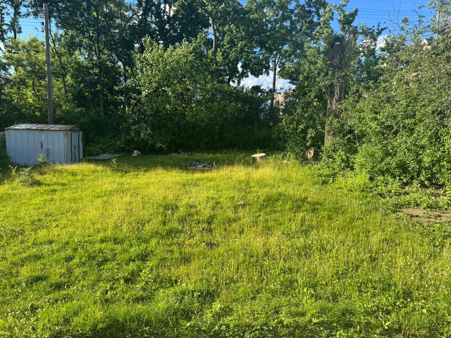 Gallery Image 18
