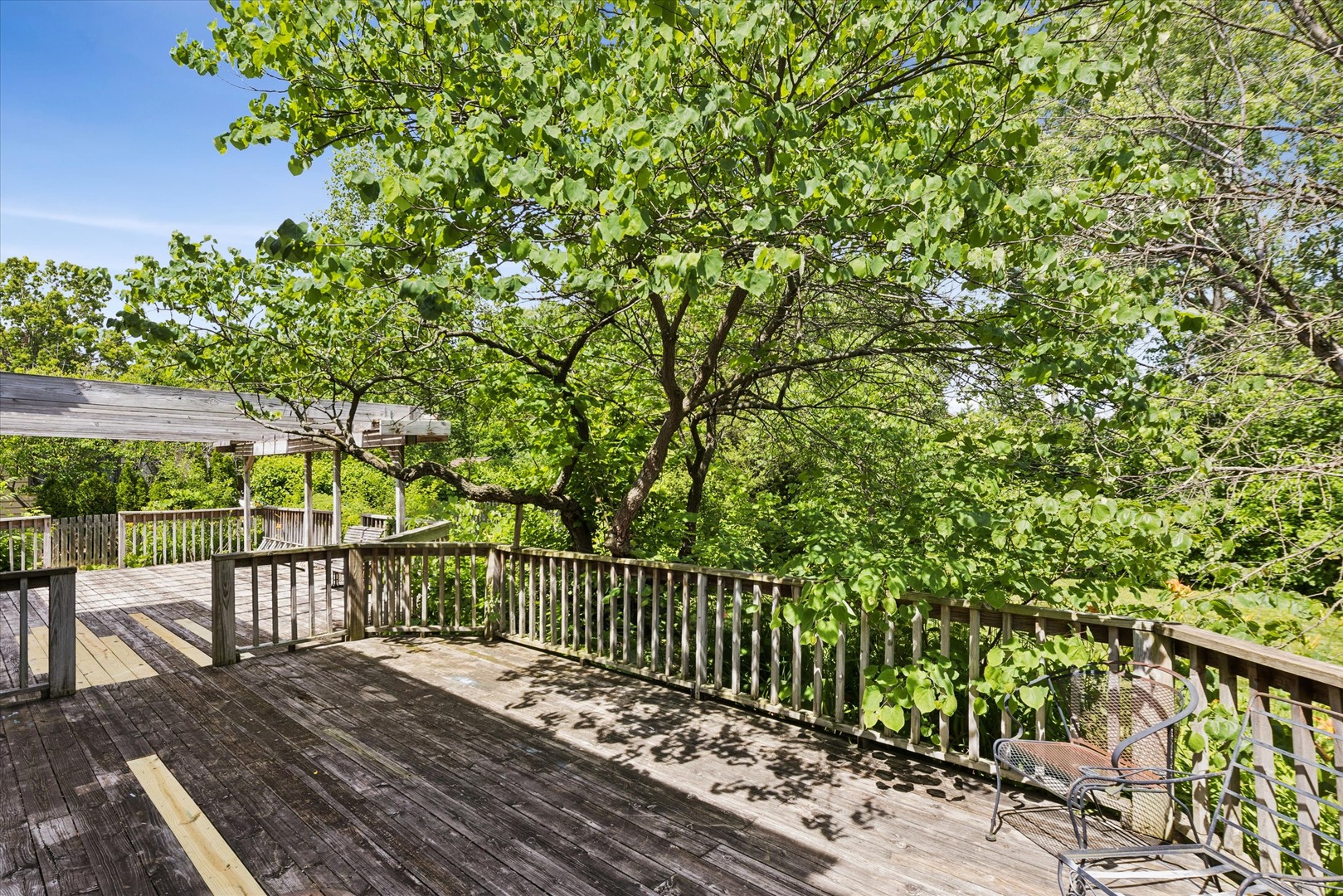 Gallery Image 39