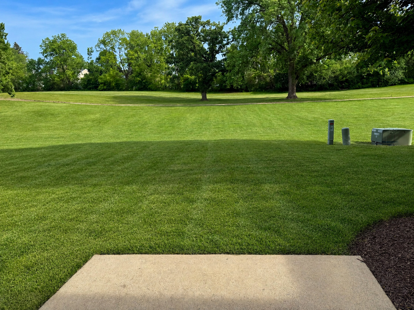 Gallery Image 14