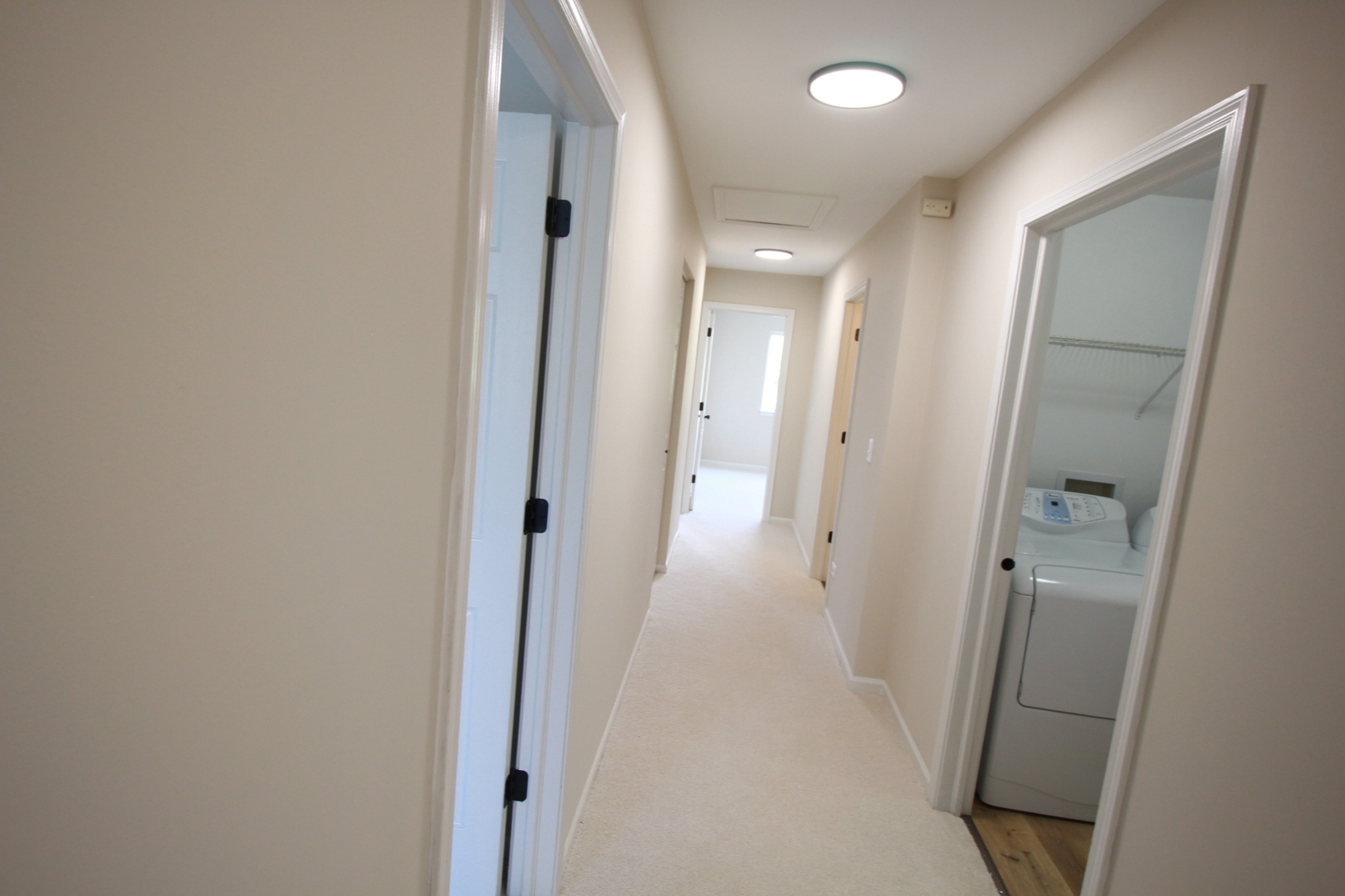 Gallery Image 19
