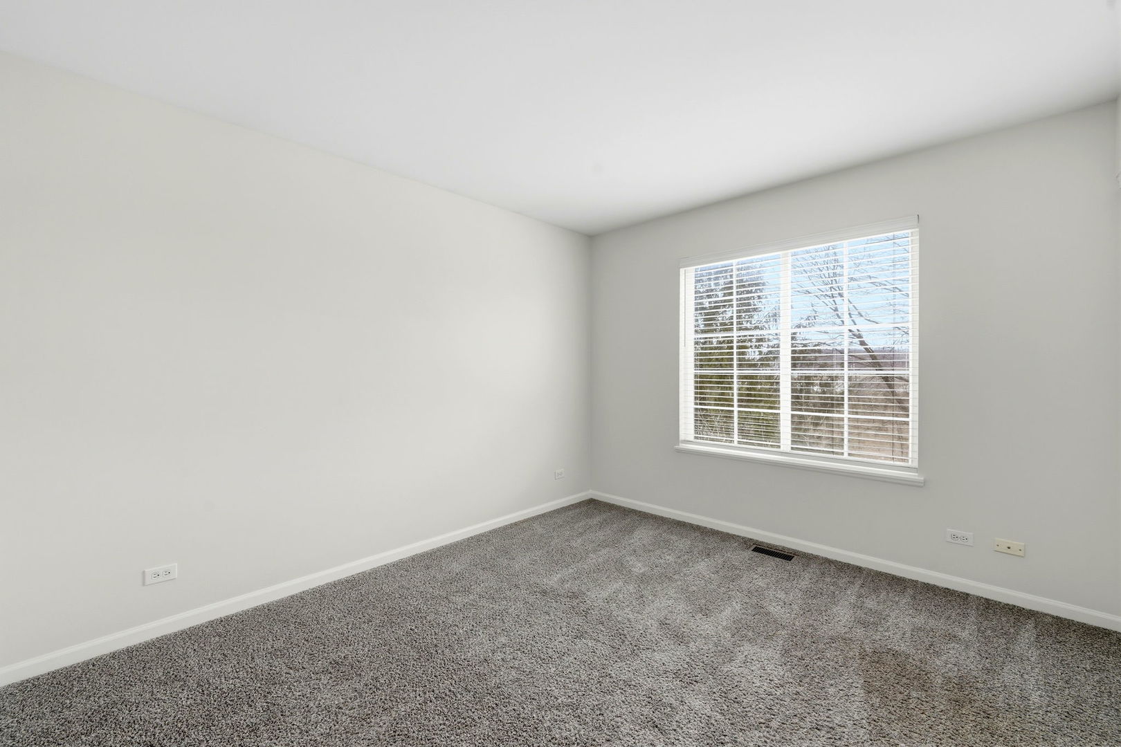Gallery Image 19