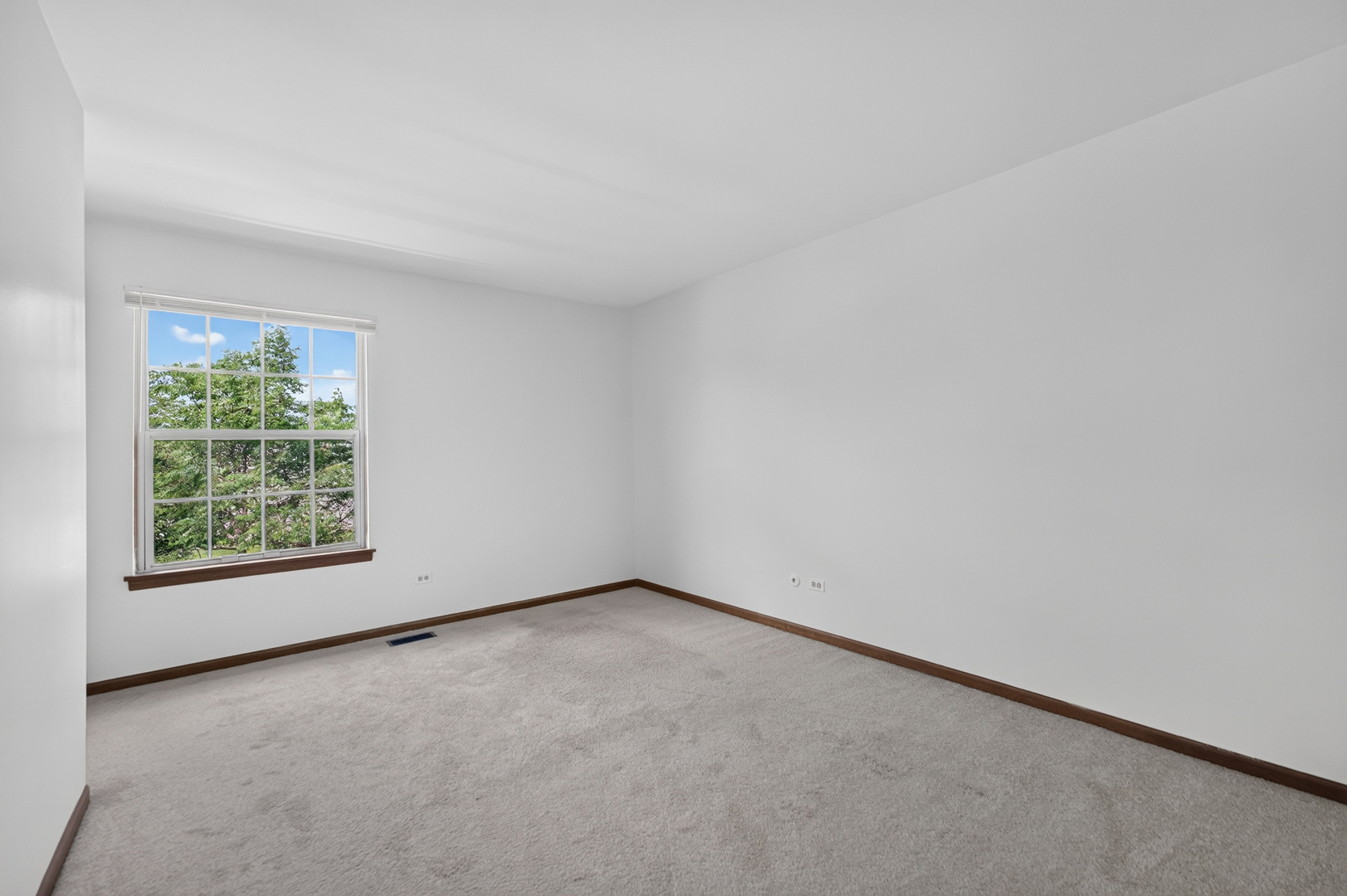 Gallery Image 19