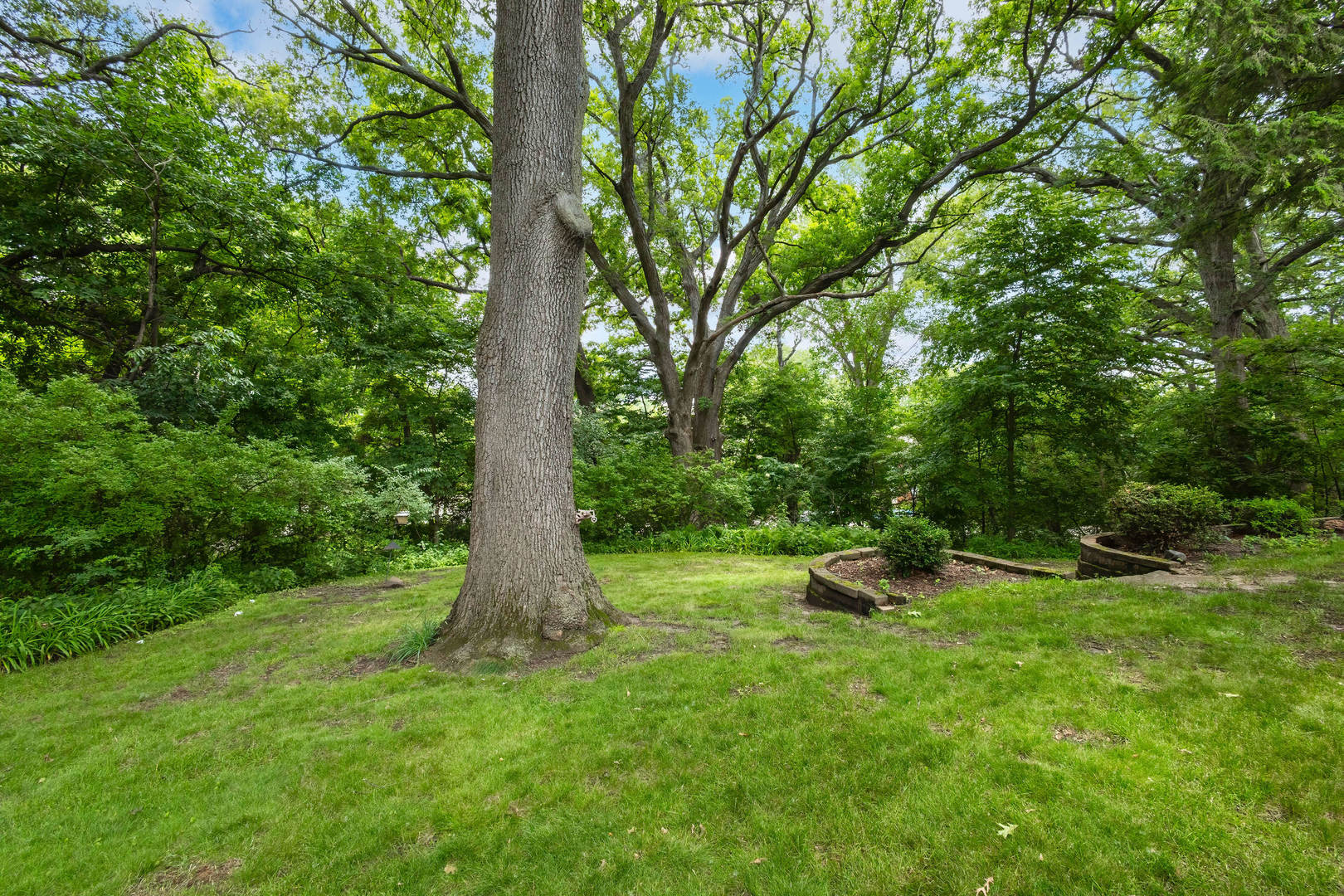 Gallery Image 45