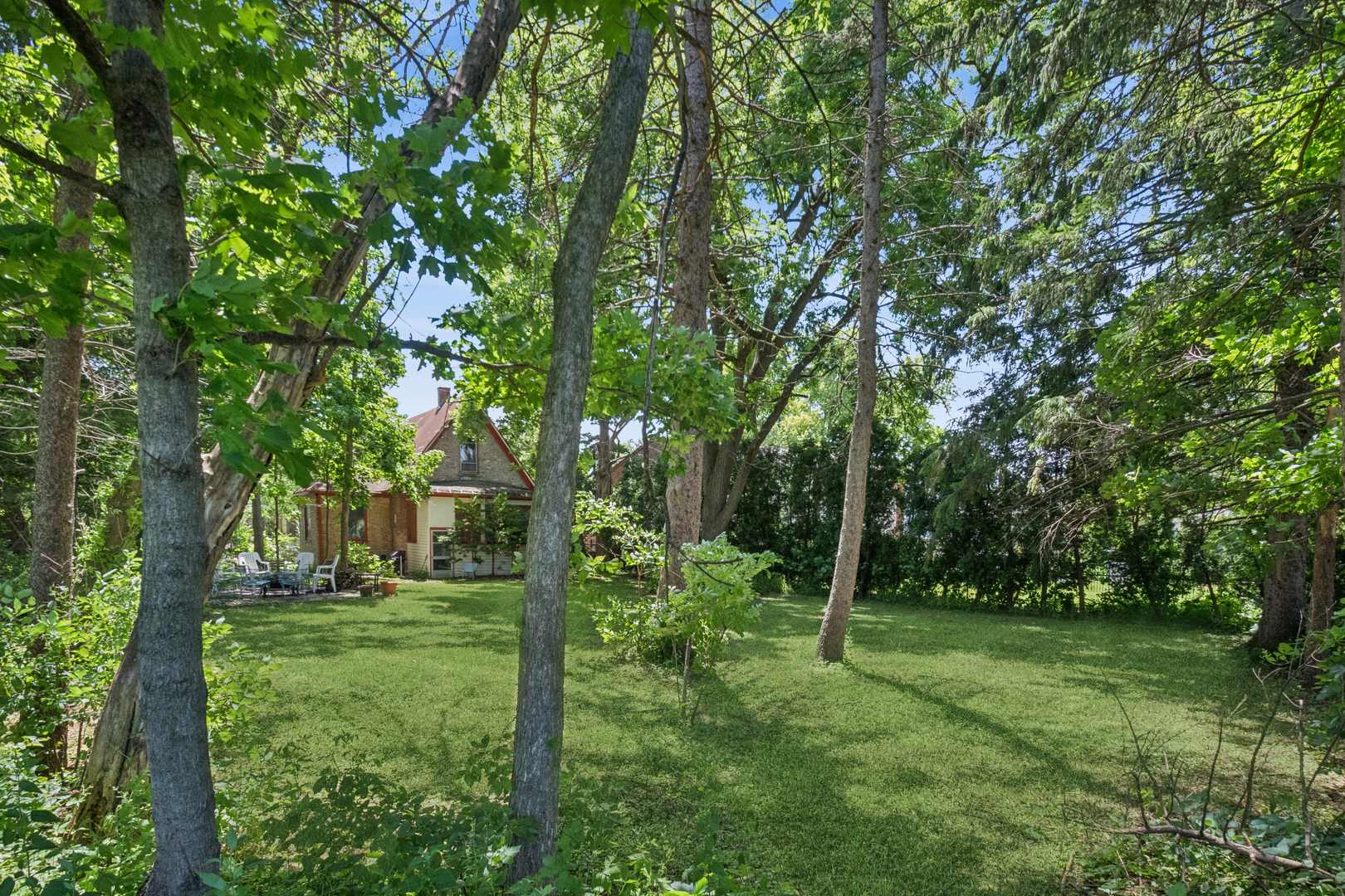 Gallery Image 15