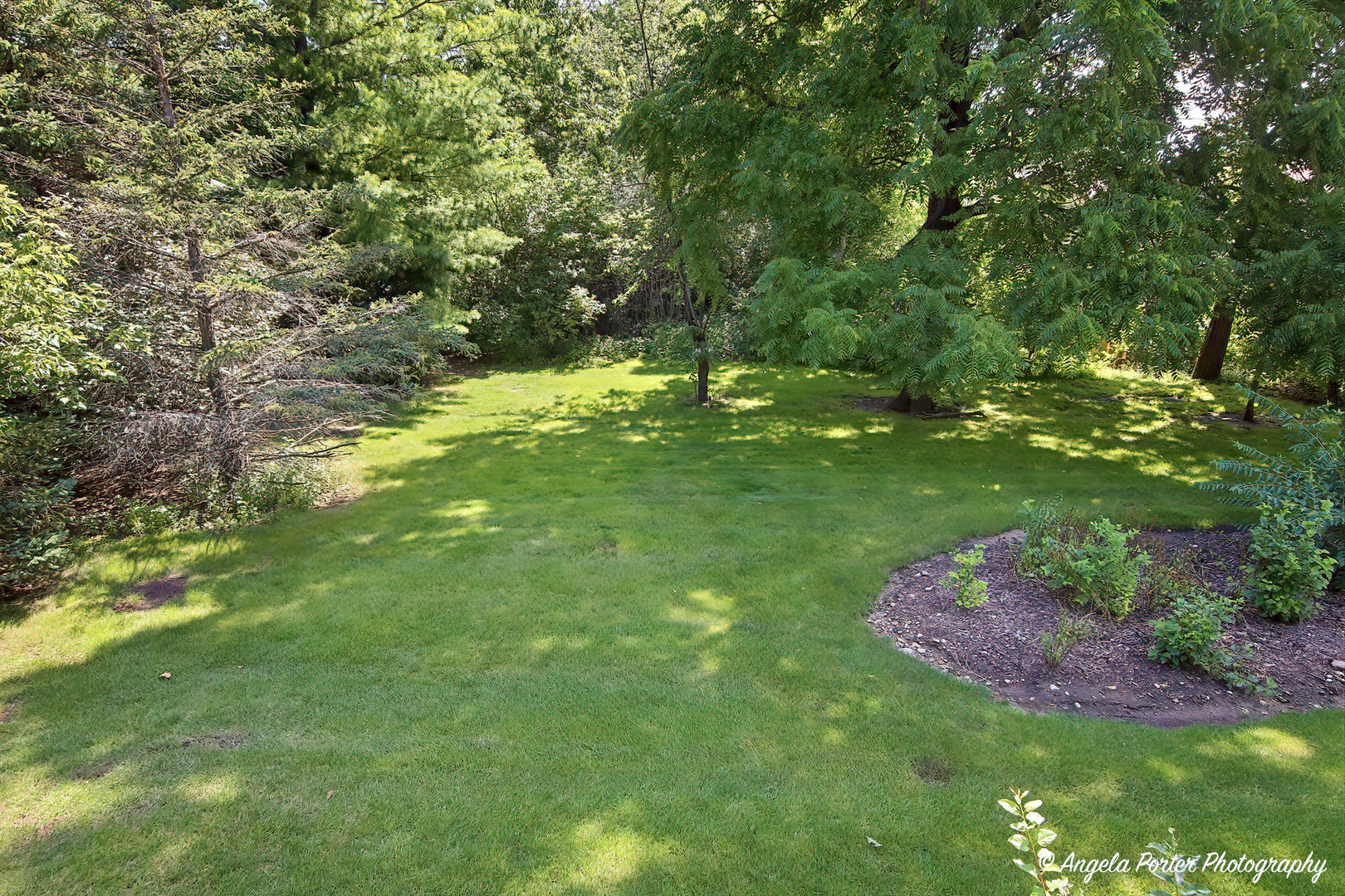 Gallery Image 22