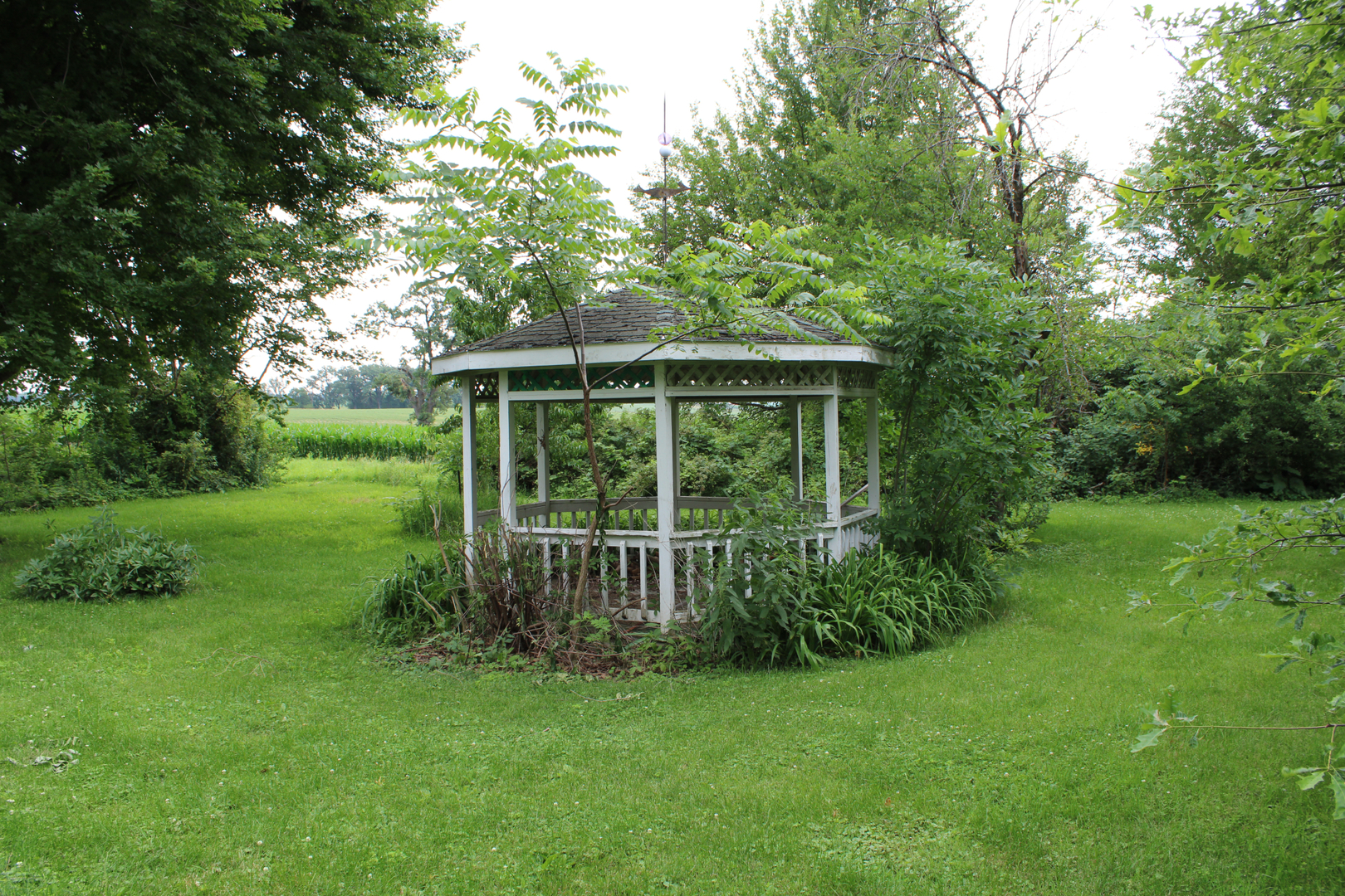 Gallery Image 25