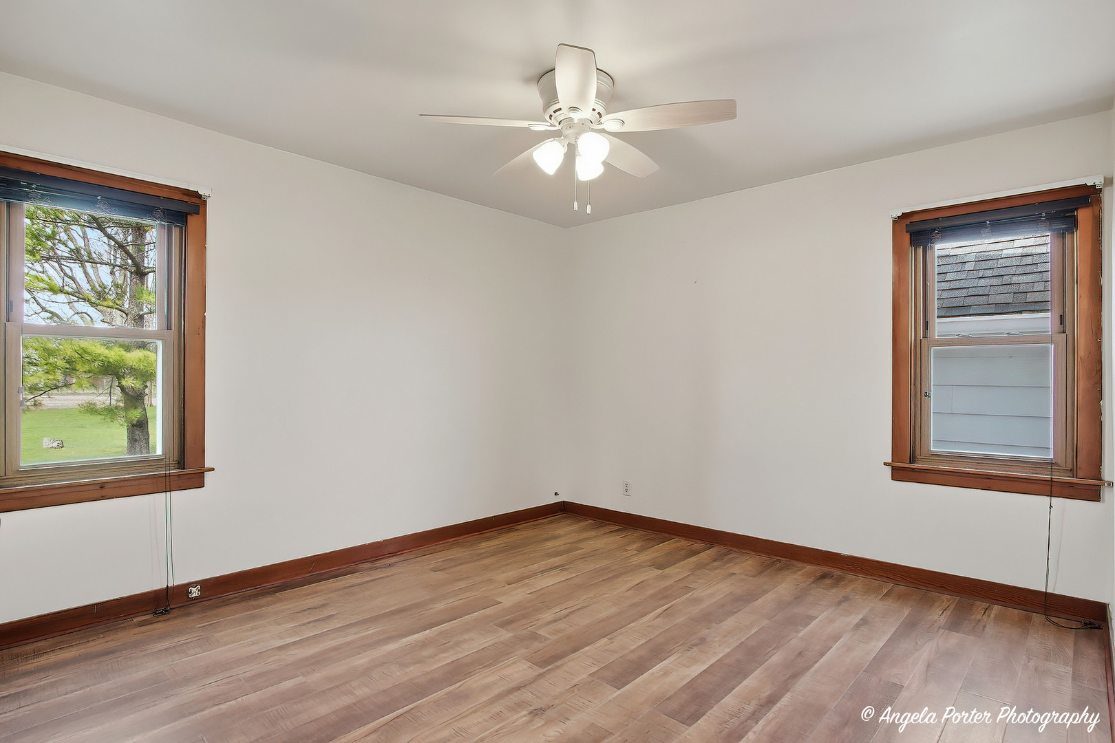 Gallery Image 15