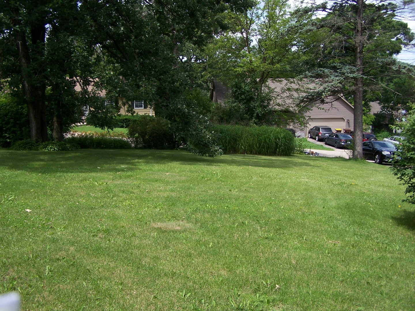 Gallery Image 14