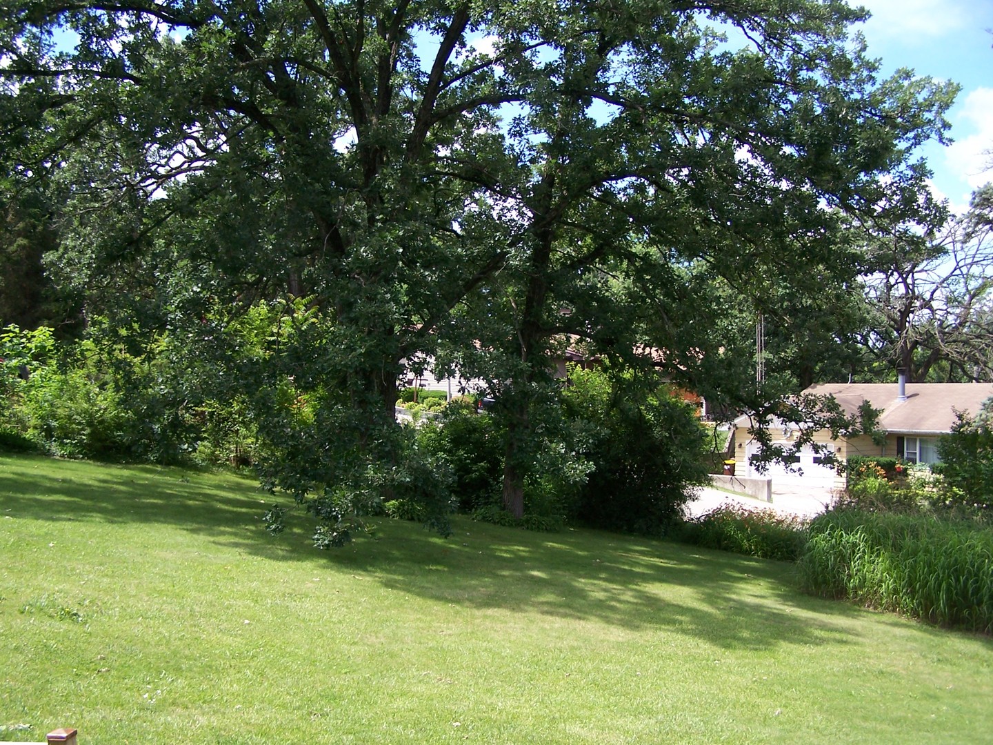 Gallery Image 12