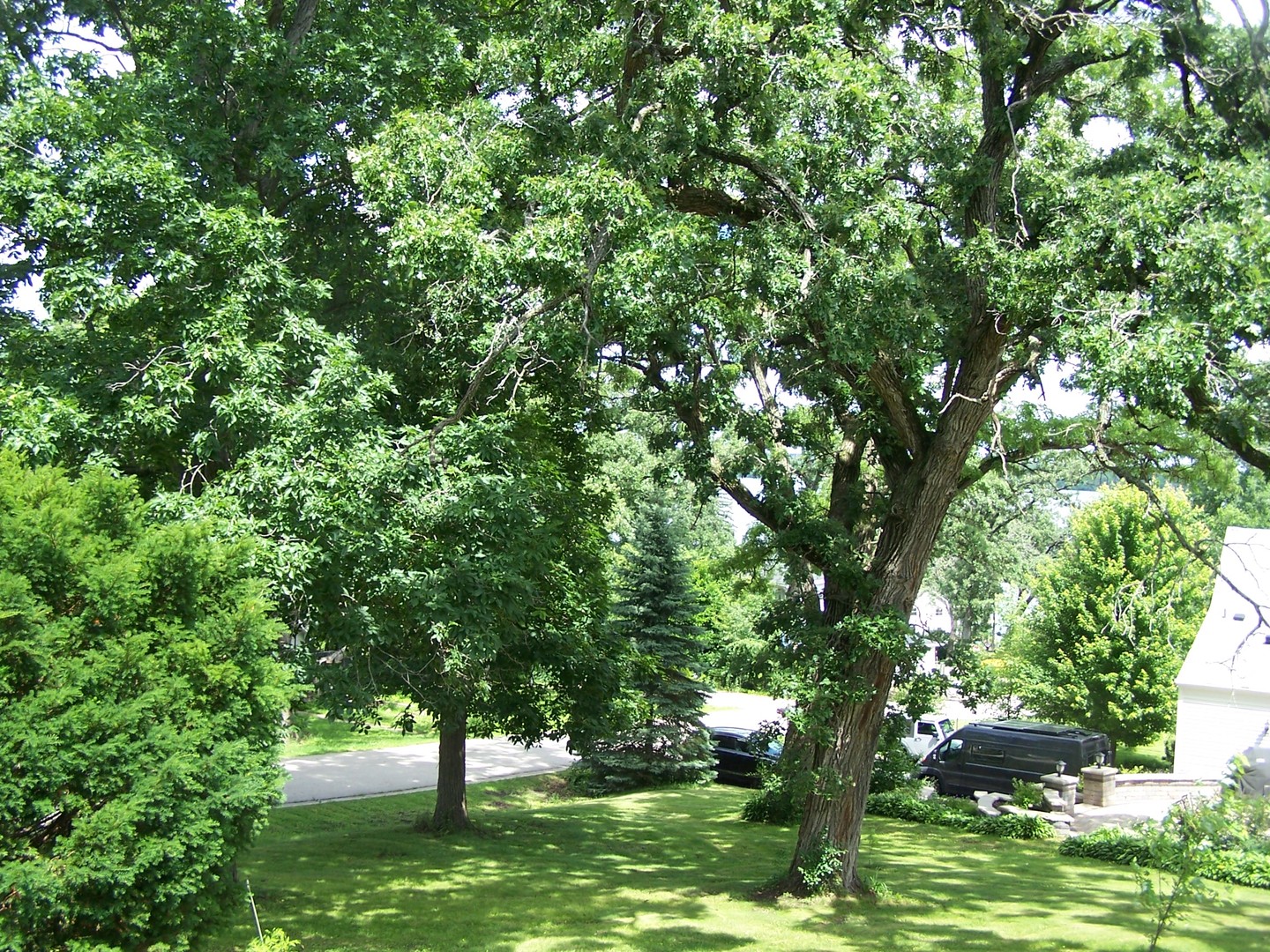 Gallery Image 11