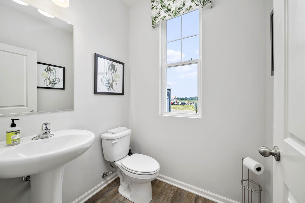 Gallery Image 13