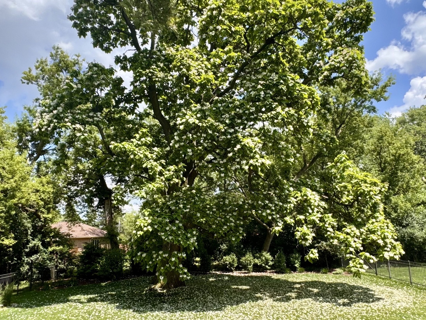 Gallery Image 36