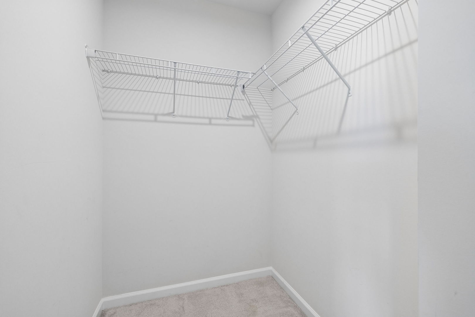 Gallery Image 19