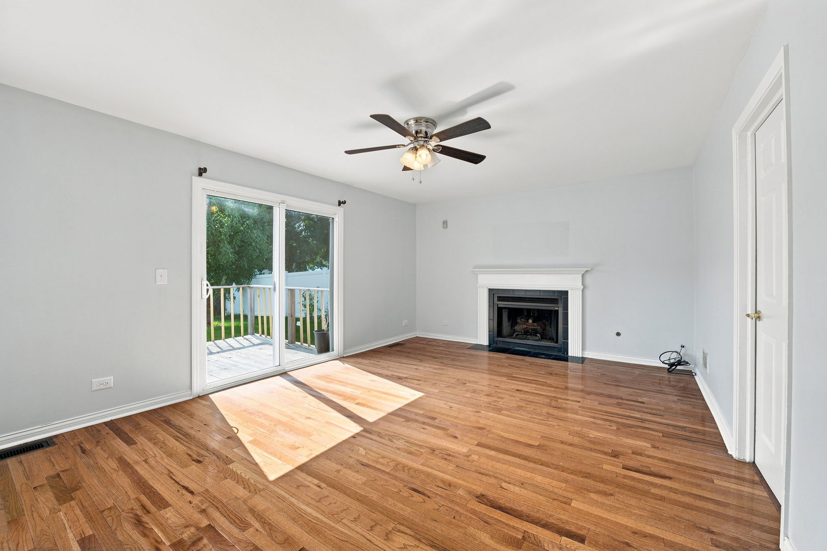 Gallery Image 13