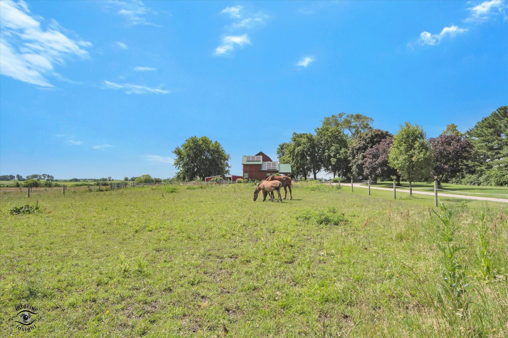 Gallery Image 8