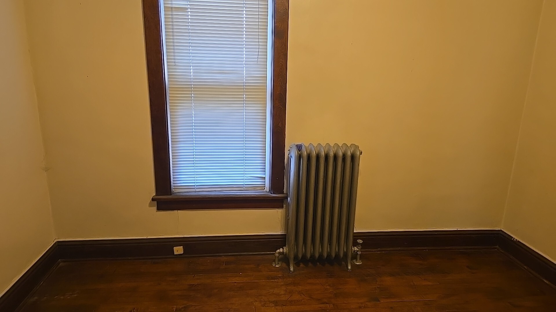 Gallery Image 16
