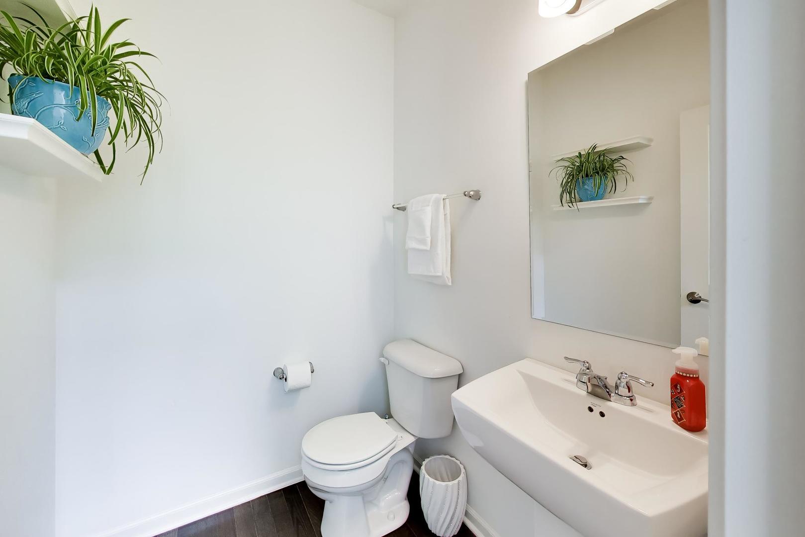 Gallery Image 11