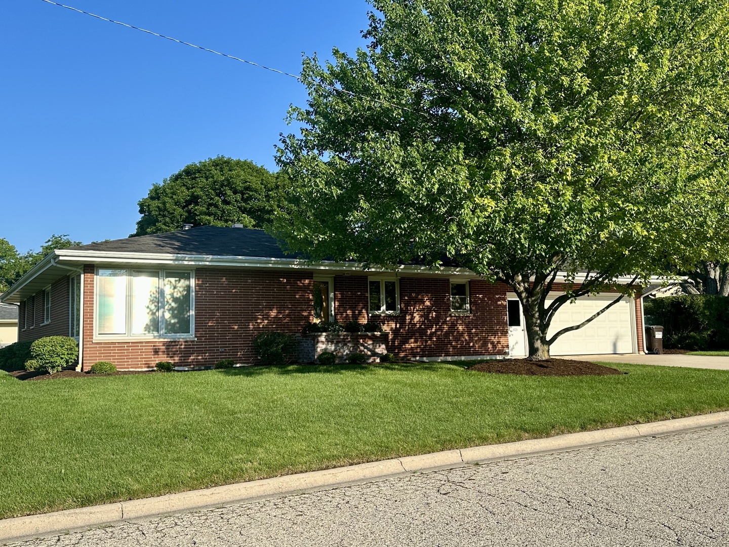 Gallery Image 16
