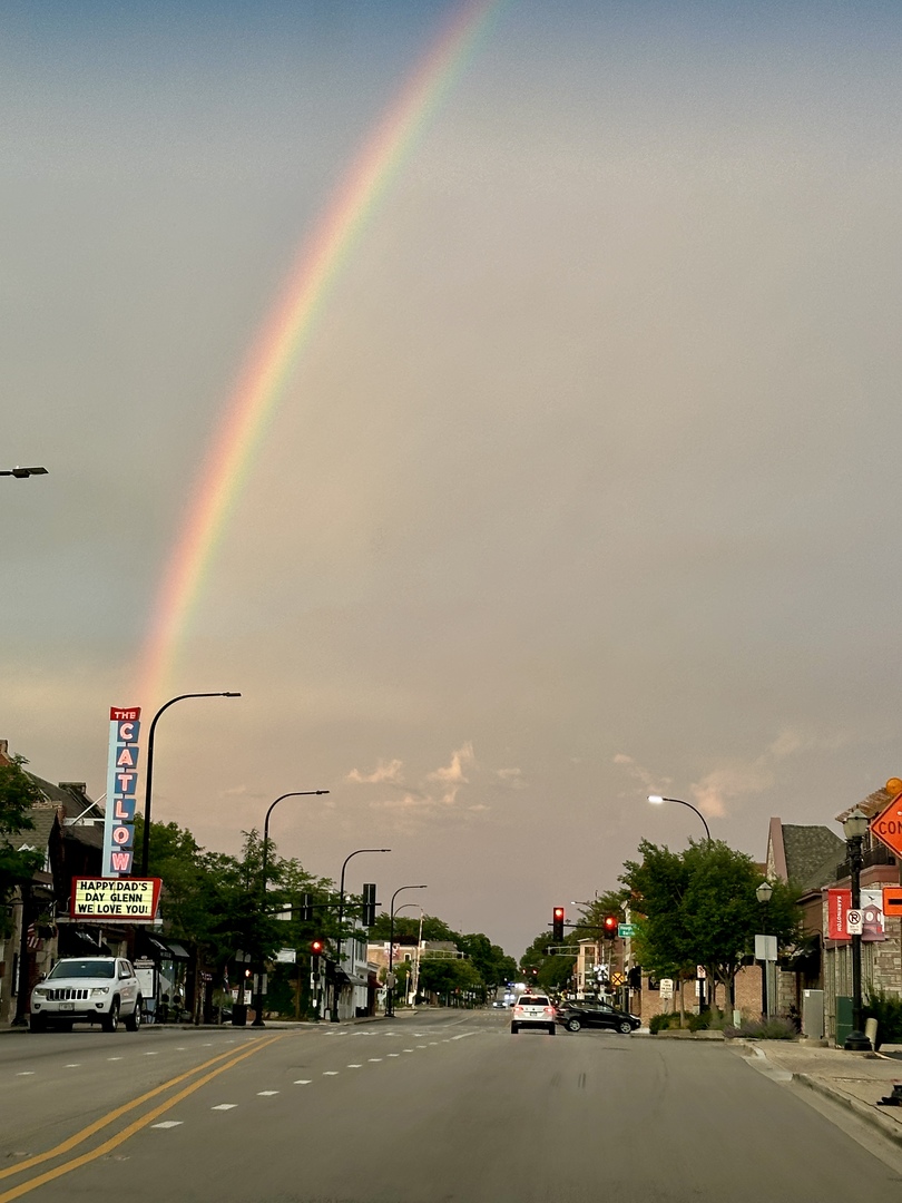 Gallery Image 31