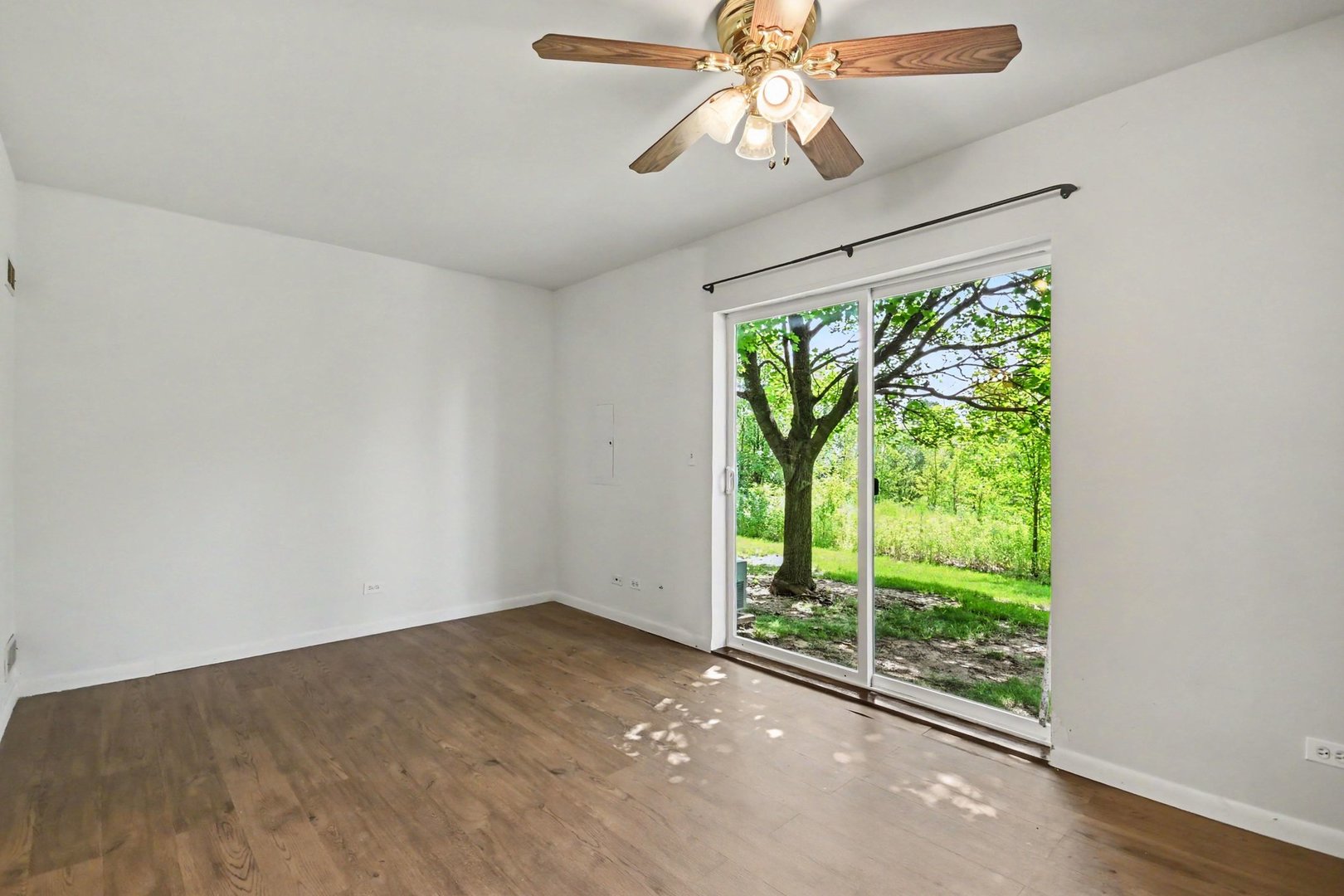 Gallery Image 8