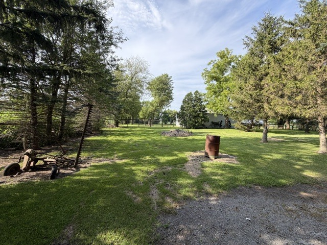 Gallery Image 28