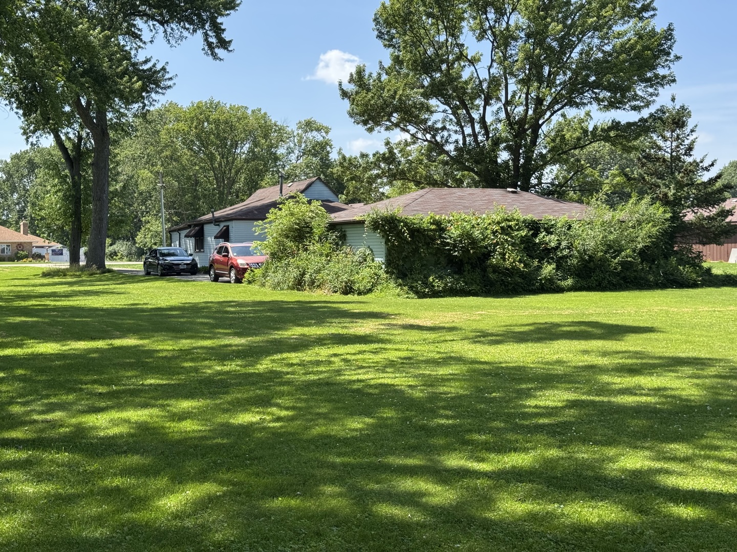 Gallery Image 13