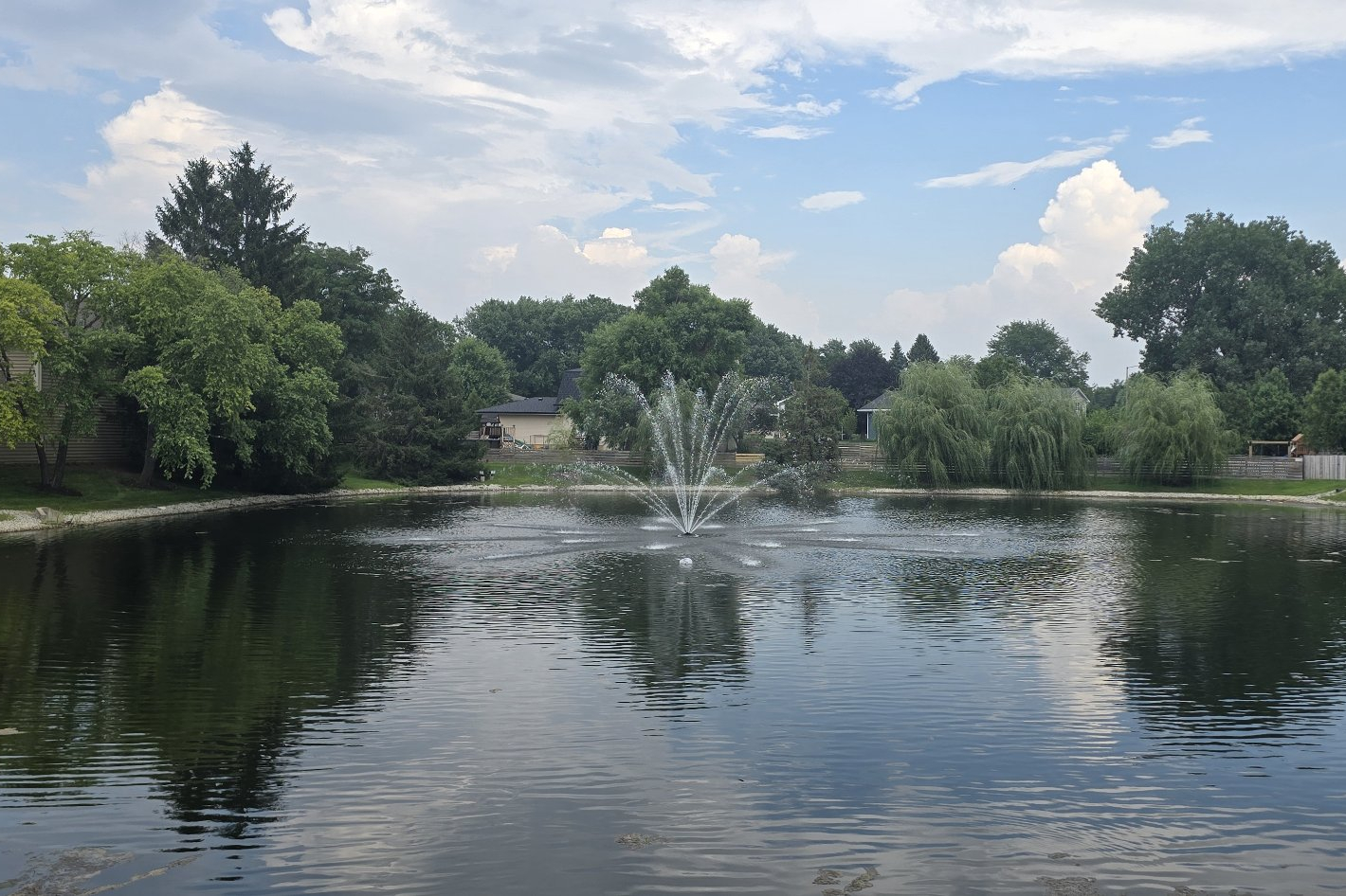 Gallery Image 15