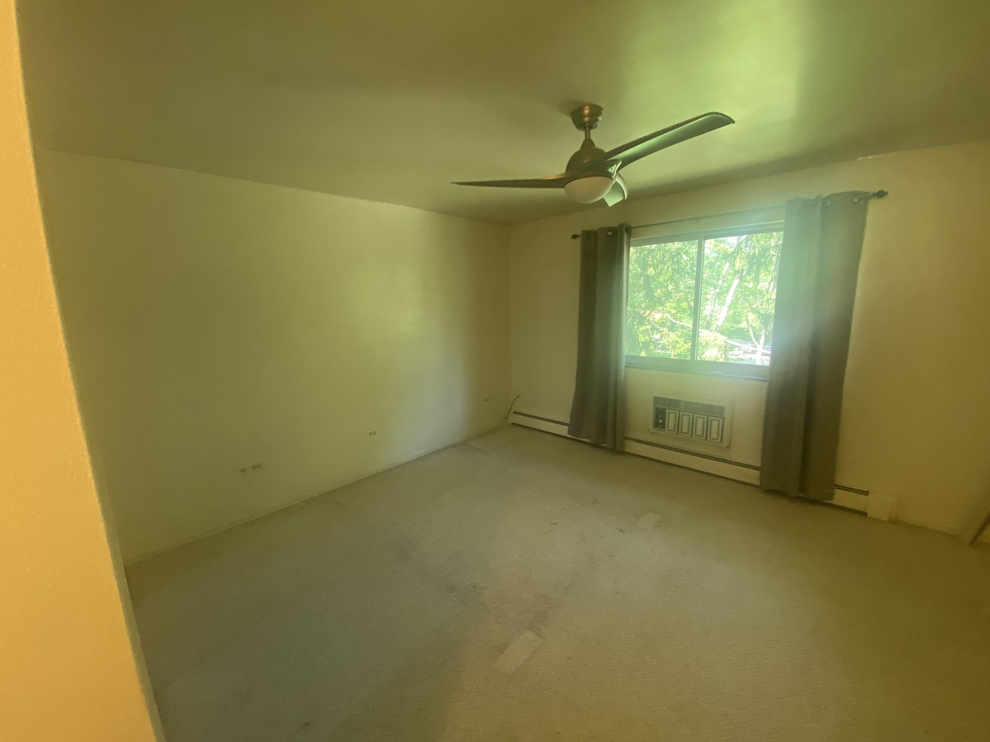 Gallery Image 16