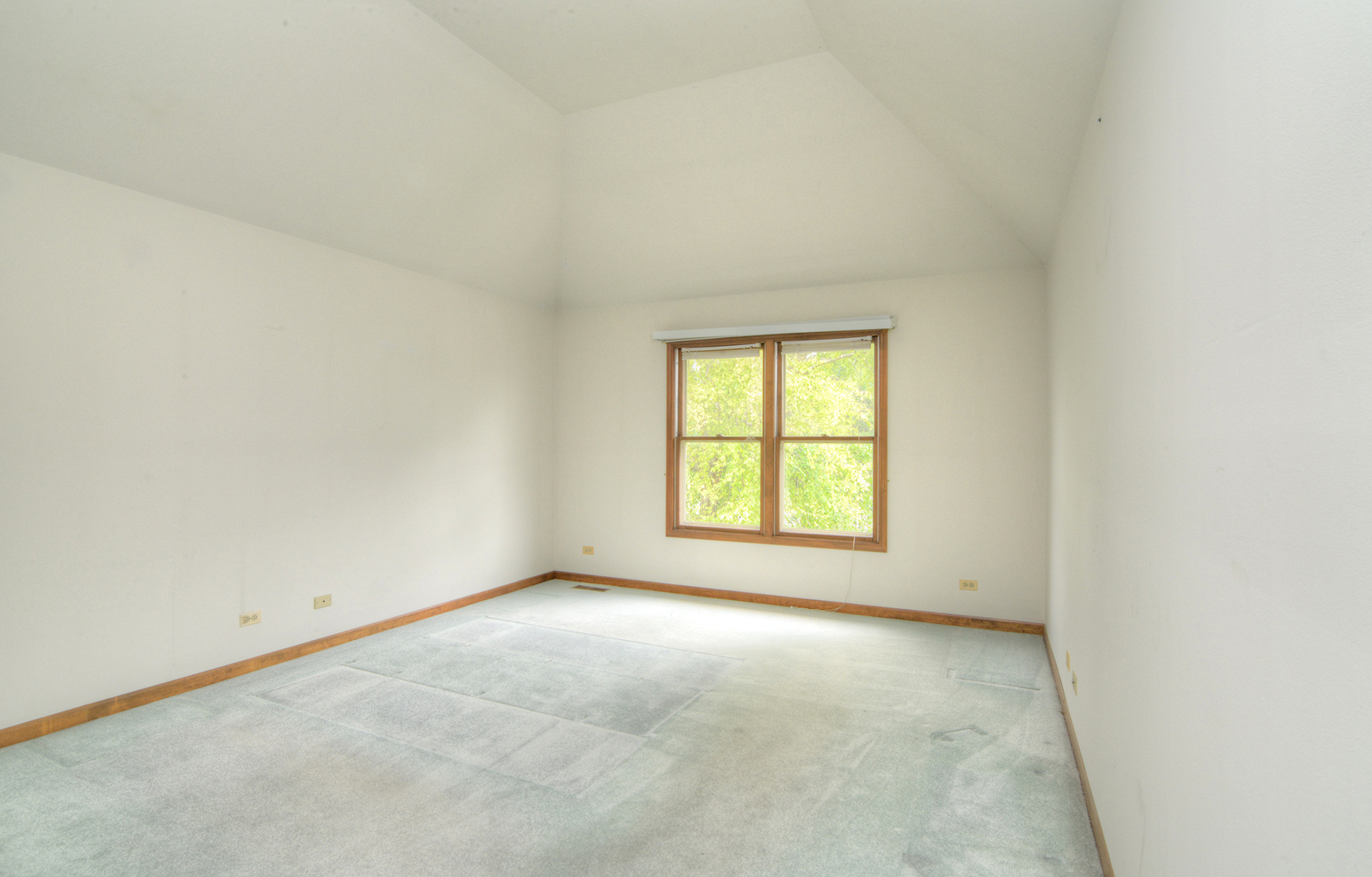 Gallery Image 16