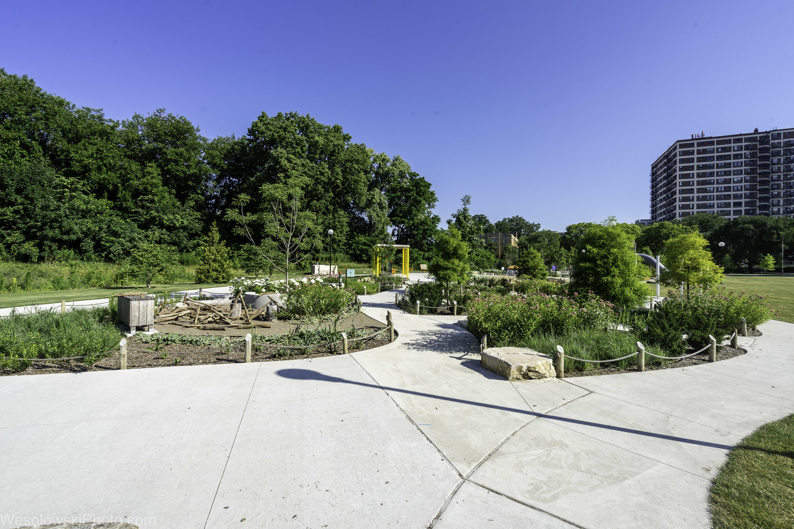 Gallery Image 12