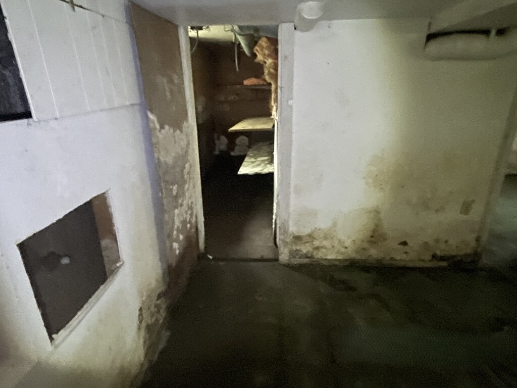 Gallery Image 18