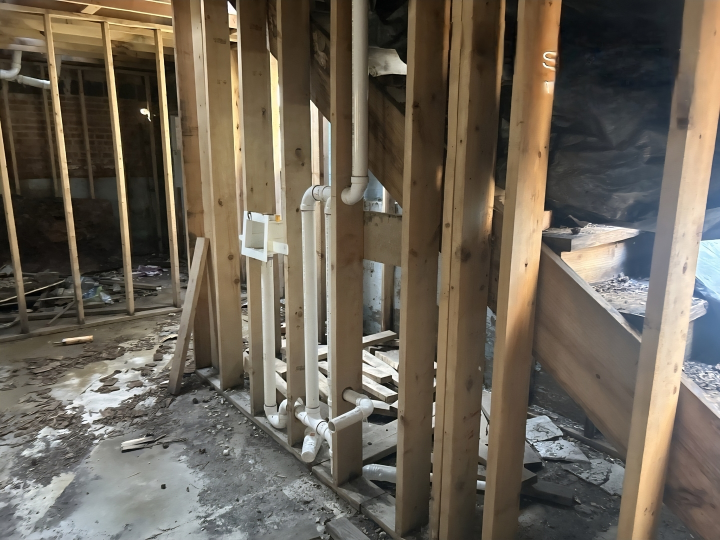 Gallery Image 11