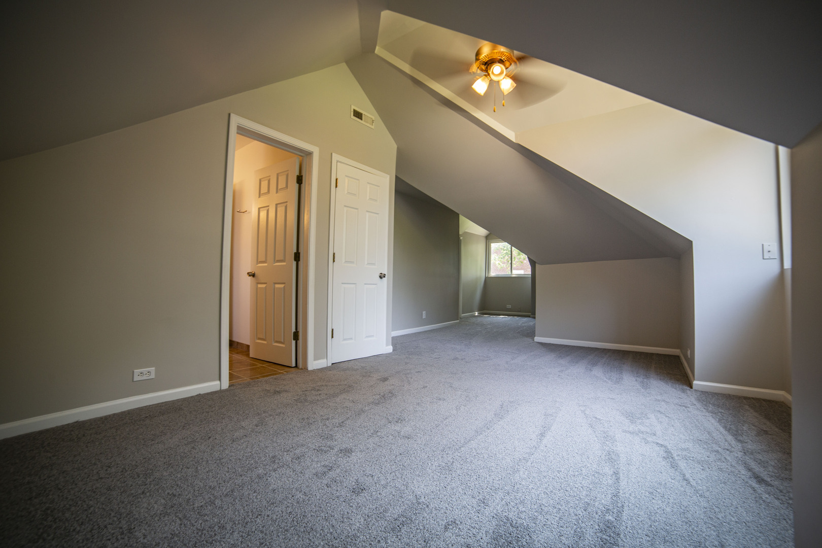 Gallery Image 19